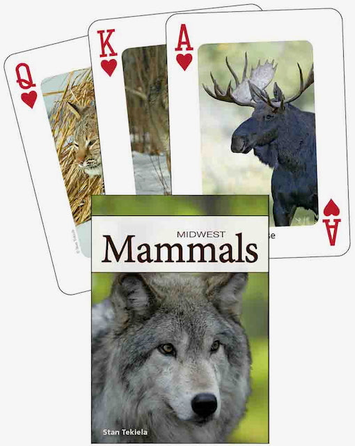 Nature Inspired Playing Cards - Animals