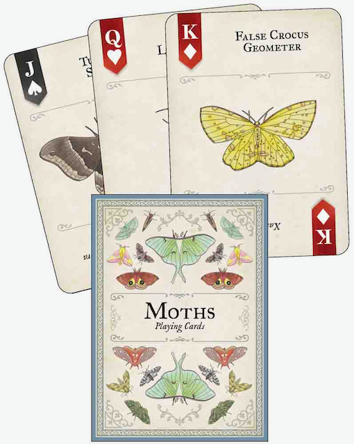 Nature Inspired Playing Cards - Insects
