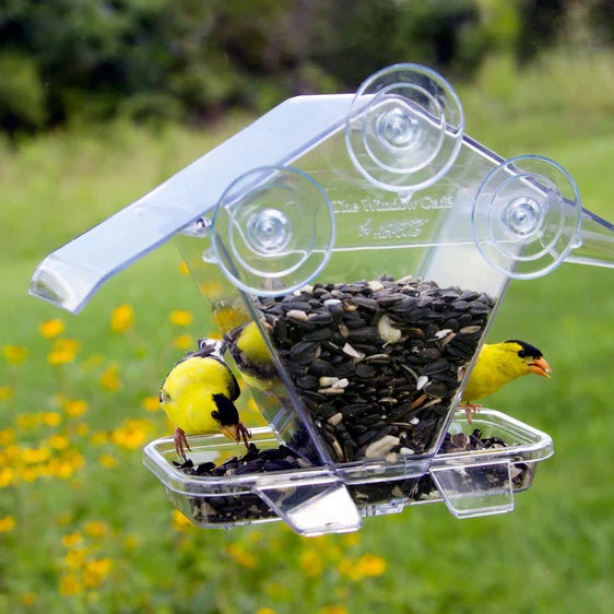 Bird Feeder - The Window Cafe