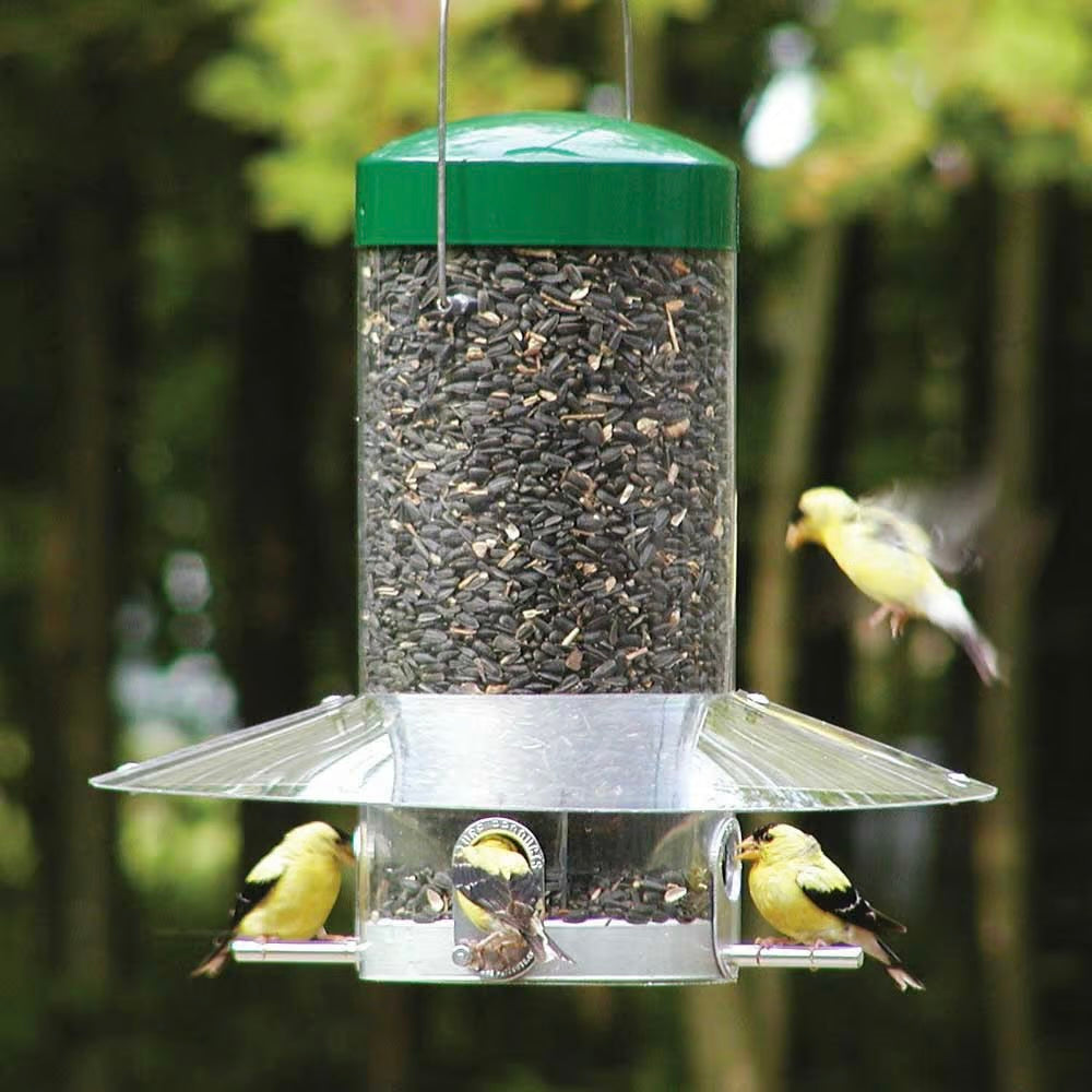 Bird Feeder - Hanging Classic w Baffle Weather Guard - 12in