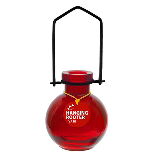 Couronne Vase - Hanging Glass Rooting Vases Small