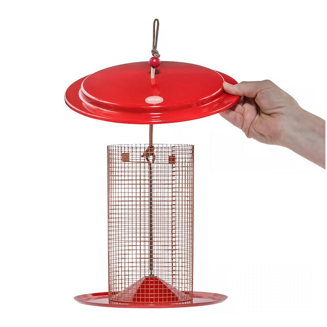 Bird Feeder - Sunflower Seed Feeder - Color Pop
