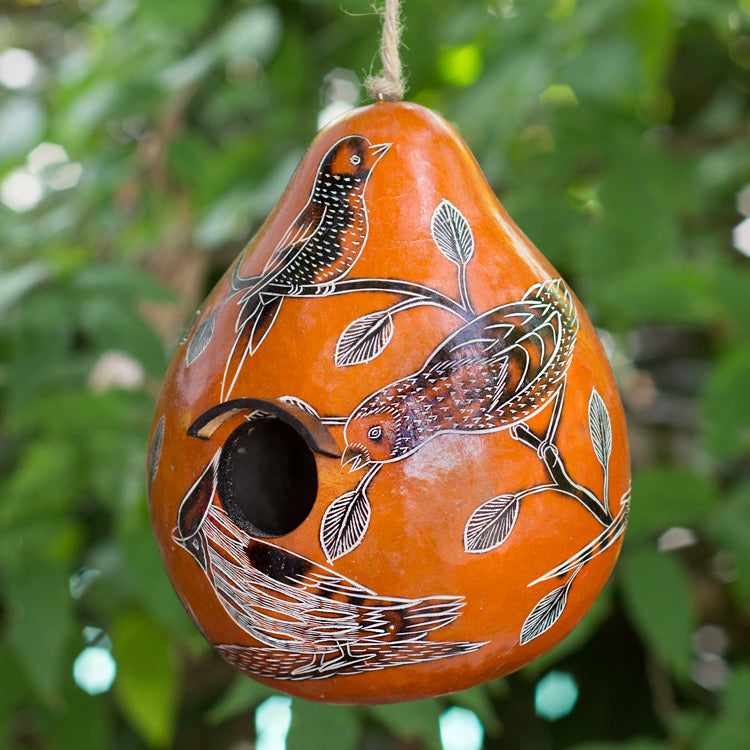Birdhouse - Gourds - Birds of North America