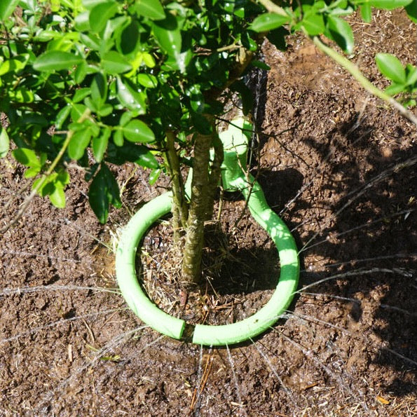Tree Ring Sprinkler - 11in - Adjustable Valve