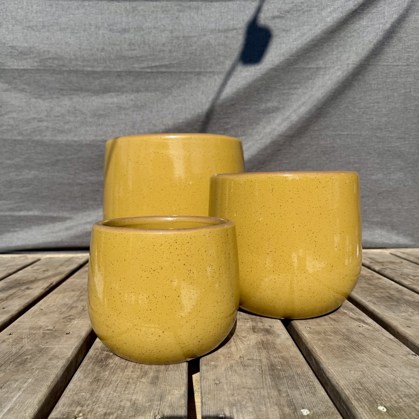 Tagas Planter - Sunflower