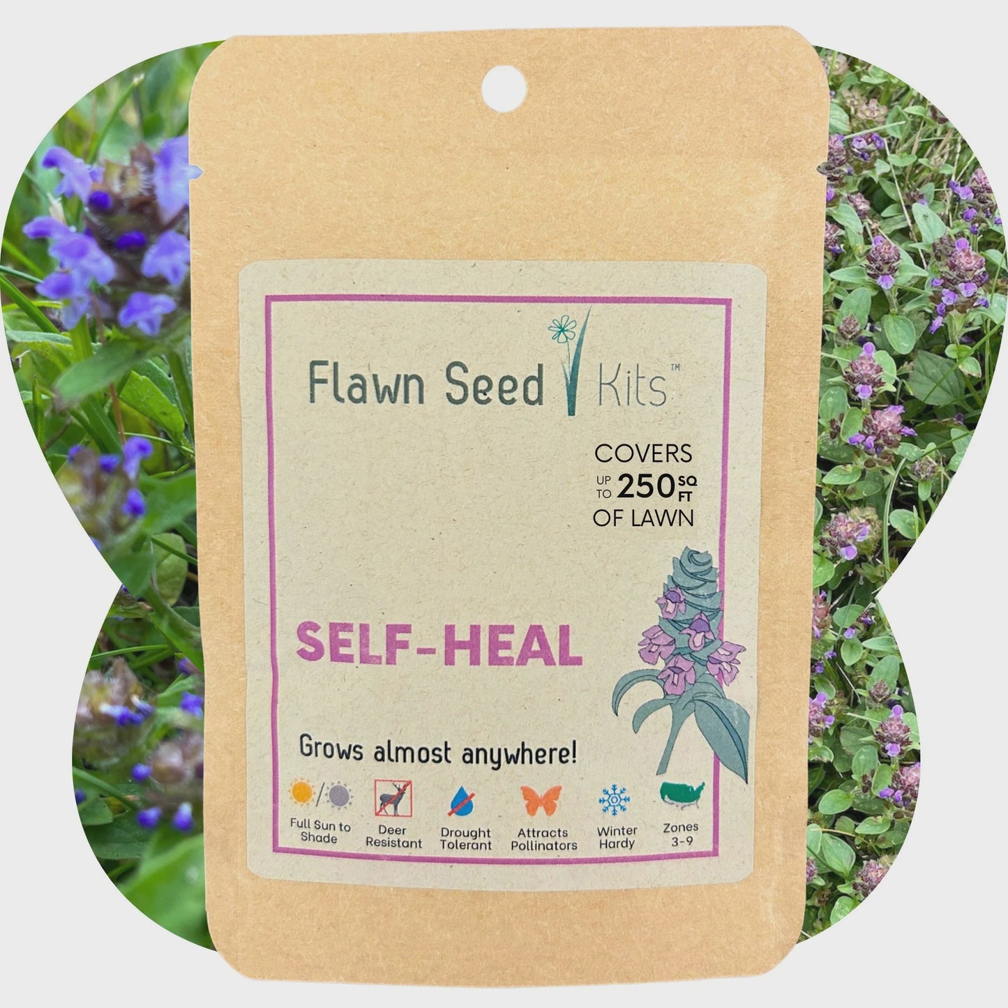 Bee Lawn Single Species Seed - Prunella vulgaris Self-Heal (MN Native) - 250 sqft (L2L)