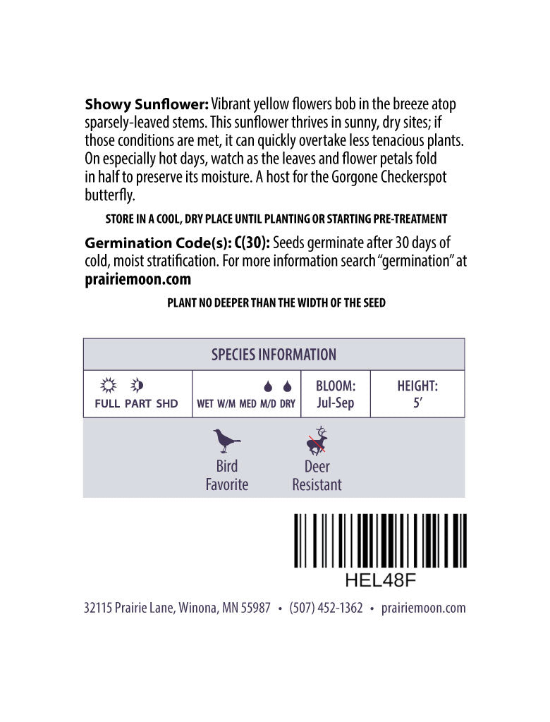 Showy Sunflower (Helianthus pauciflorus) Seeds - Prairie Moon Nursery