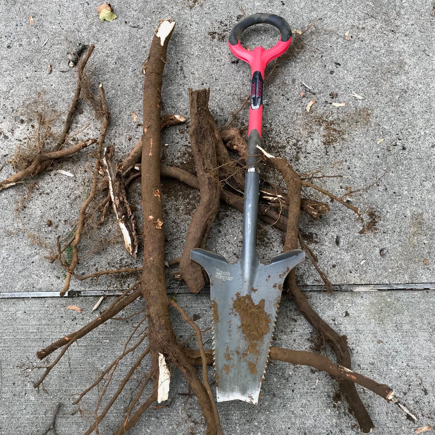 The Radius Root Slayer