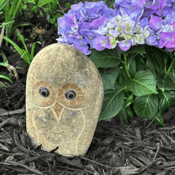 Statue - Boulder Owls