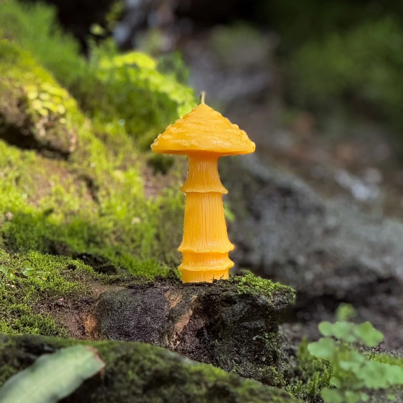 Slow Burn Beeswax Candles - Amanita Mushrooms