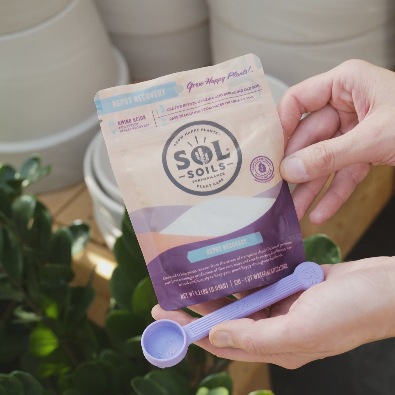 Sol Biotics Repot Recovery