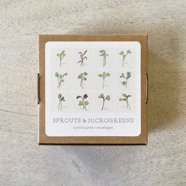 Yeesan Loh Boxed Mini Greeting Cards - 12-Packs
