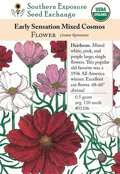 Cosmos 'Sensation Mix' - Southern Exposure Seed Exchange - Organic