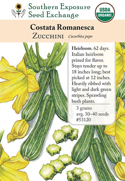 Zucchini 'Costata Romanesca' - Southern Exposure Seed Exchange - Organic