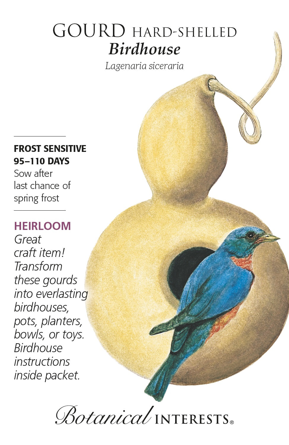 Seeds | Gourd - Hard Shelled 'Birdhouse' - Botanical Interests®