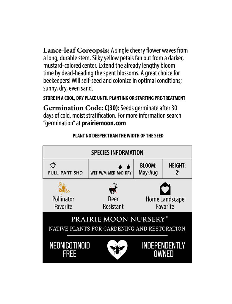Lanceleaf Coreopsis (Coreopsis lanceolata) Seeds - Prairie Moon Nursery (L2L)