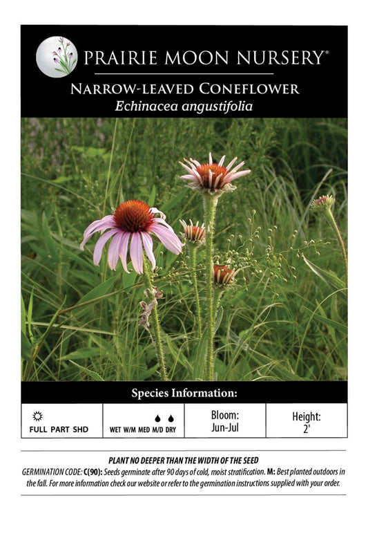 Narrow-leaved Coneflower (Echinacea Angustifolia) Seeds - Prairie Moon Nursery