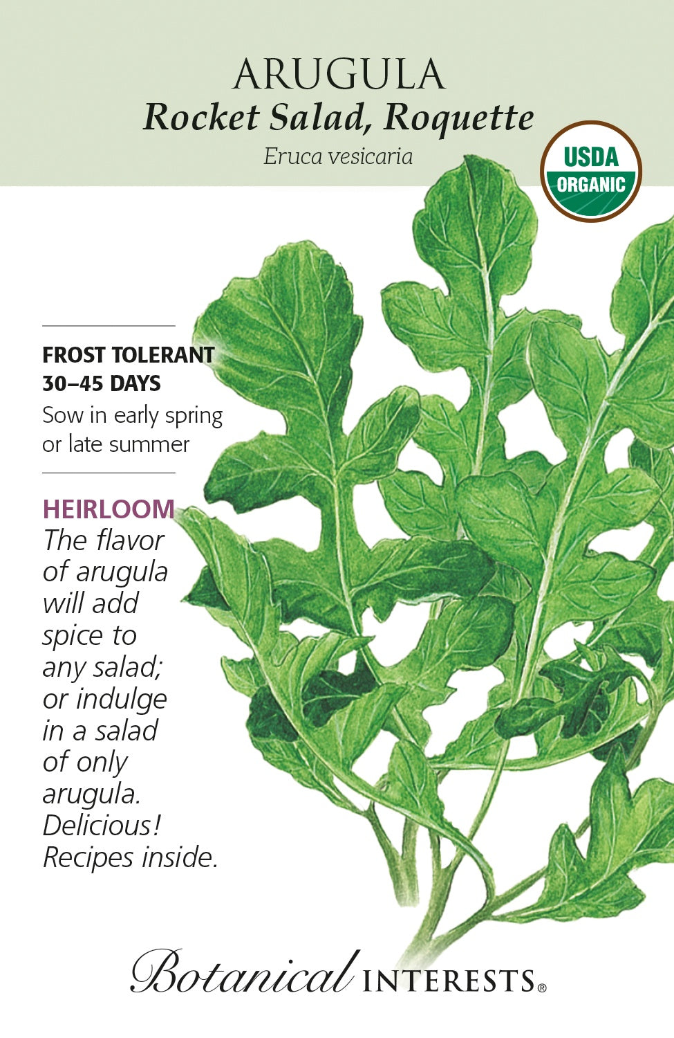 Arugula 'Rocket Salad/Roquette' - Botanical Interests® - Organic