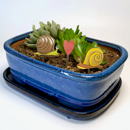 Houseplant Diorama Kits