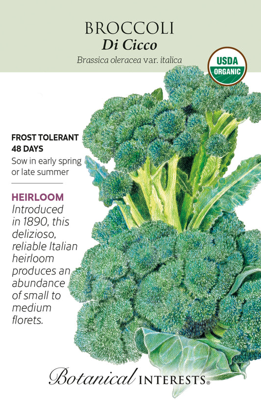 Broccoli 'Di Cicco' - Botanical Interests® - Organic