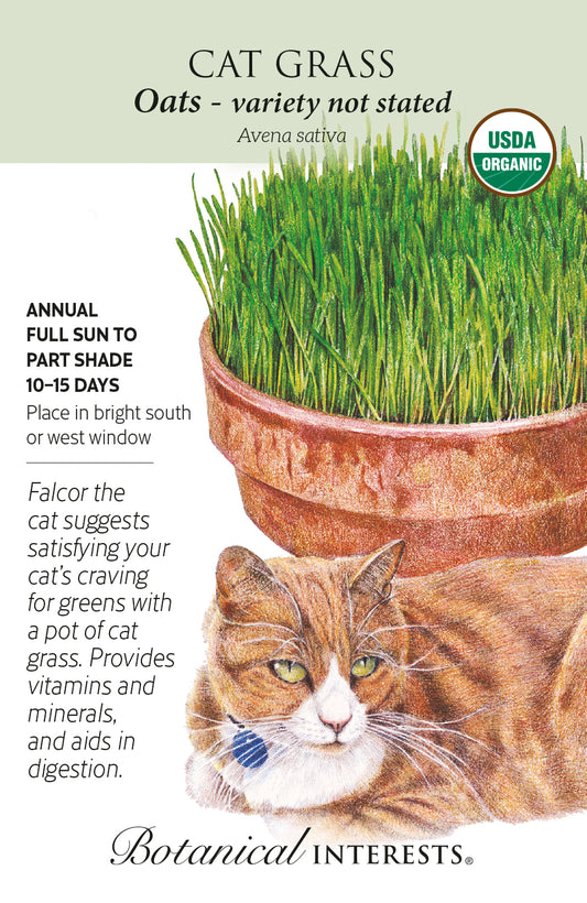 Cat Grass - Botanical Interests® - Organic