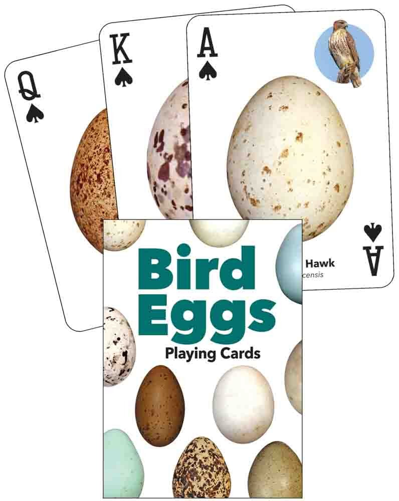 Nature Inspired Playing Cards - Birds