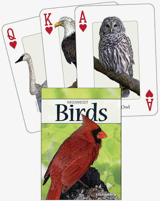 Nature Inspired Playing Cards - Birds