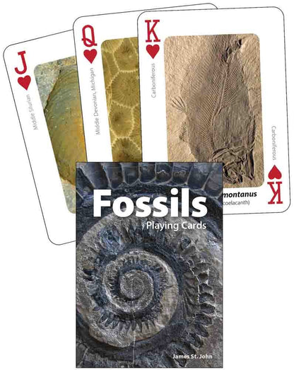 Nature Inspired Playing Cards - Geology