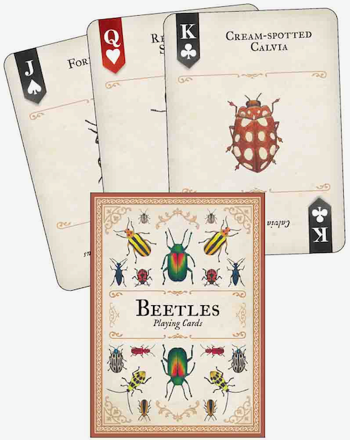 Nature Inspired Playing Cards - Insects
