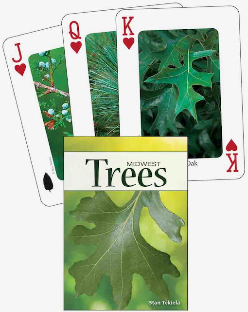 Nature Inspired Playing Cards - Plants & Fungi