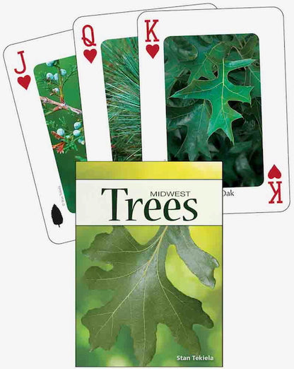 Nature Inspired Playing Cards - Plants & Fungi