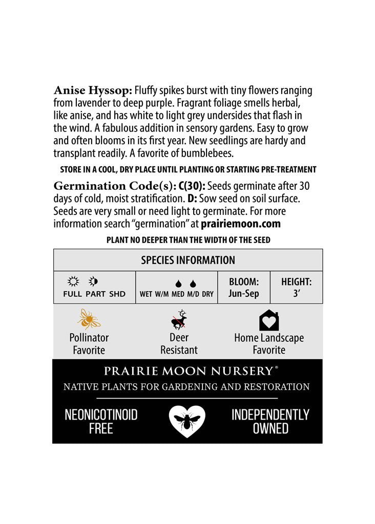 Anise Hyssop (Agastache foeniculum) Seeds - Prairie Moon Nursery (L2L)