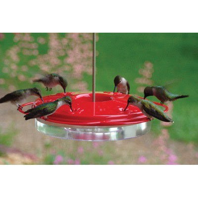 Hummingbird Feeder - Classic