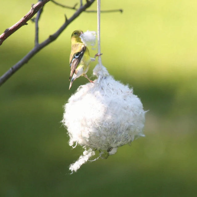 Birding Accessory - Nest Building Ball