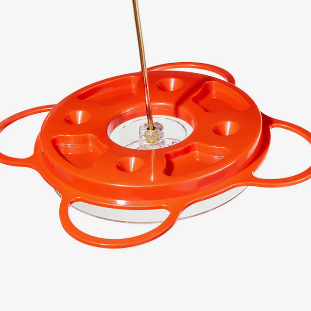 Bird Feeder - Oriole - Oriolefest for Nectar, Oranges & Jelly