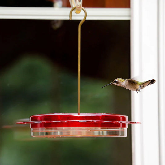 Hummingbird Feeder - Hummerfest - 12oz