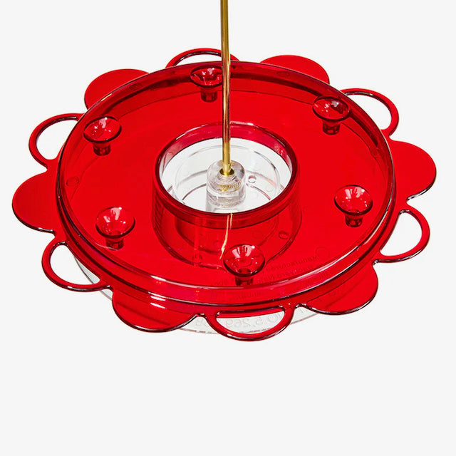 Hummingbird Feeder - Hummerfest - 12oz