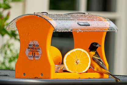 Bird Feeder - Recycled Oriole for Orange & Jelly