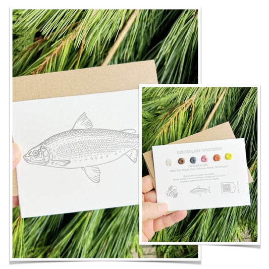 Beam Paints - Paintable Card - Whitefish
