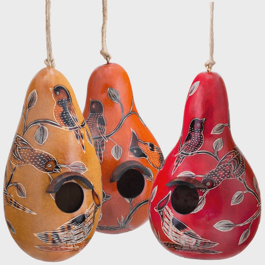 Birdhouse - Gourds - Birds of North America