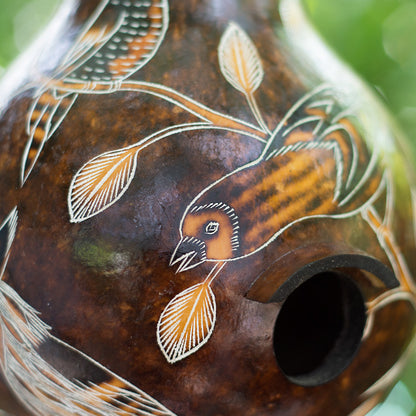 Birdhouse - Gourds - Birds of North America
