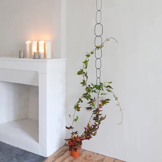 Botanopia Houseplant Supports - Chain Trellis