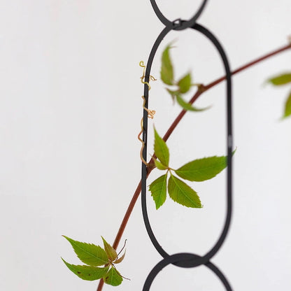 Botanopia Houseplant Supports - Chain Trellis