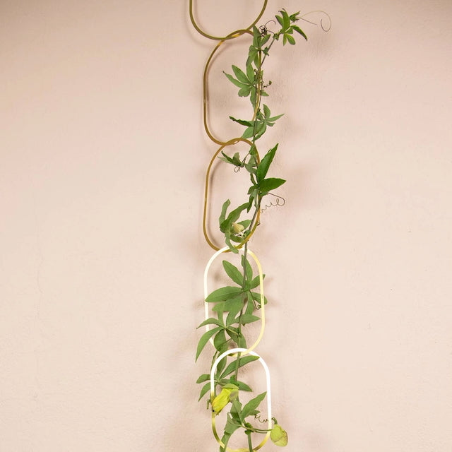 Botanopia Houseplant Supports - Chain Trellis