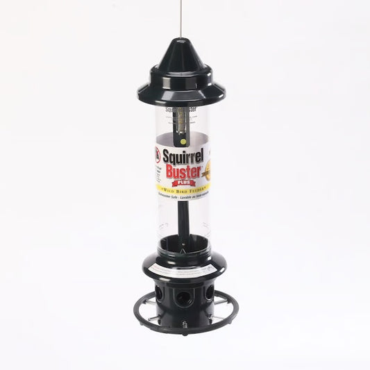 Bird Feeder - Squirrel Buster - Plus
