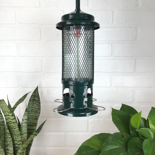 Bird Feeder - Squirrel Buster - Standard