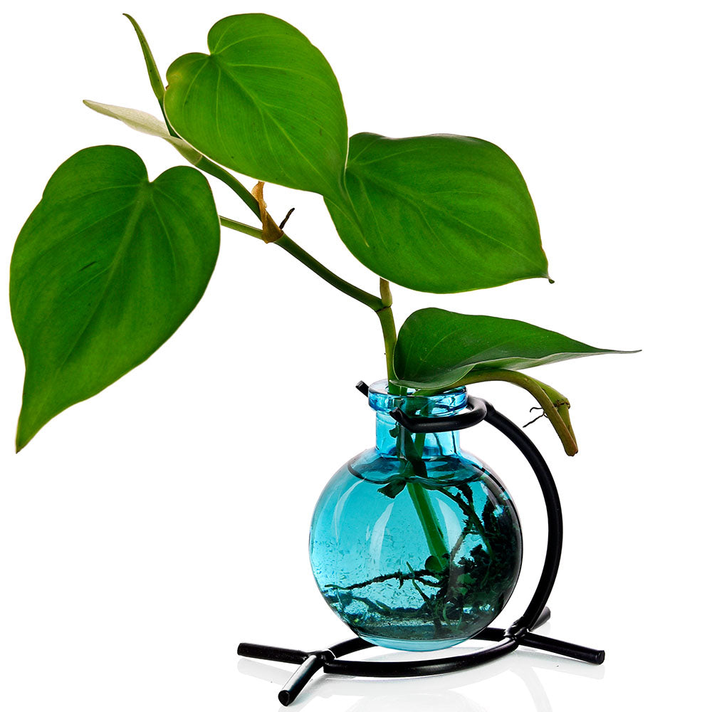 Casablanca Recycled Glass Rooting Vase & Metal Stand