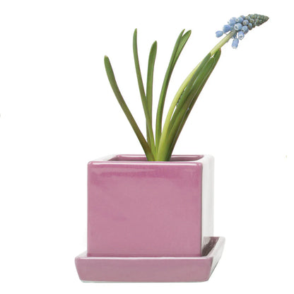 Cube Pot w Detached Saucer - 3in
