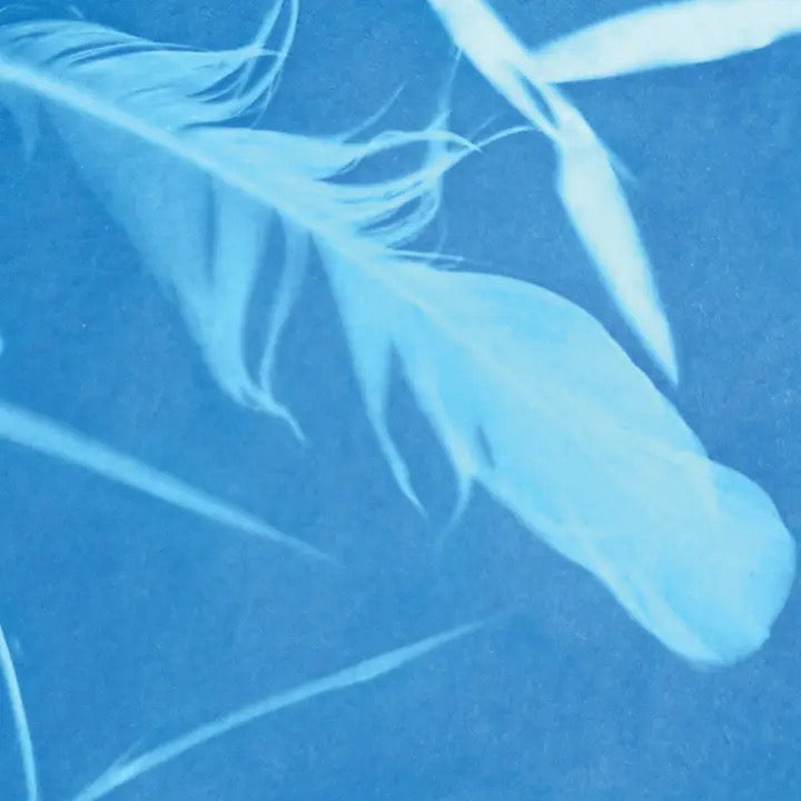 Sunprint Kits