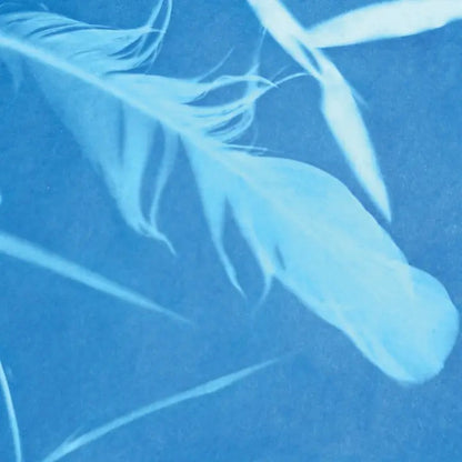 Sunprint Kits